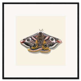 Impresión de arte enmarcada The Butterfly's Eyes