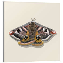 Magnettafel Die Augen des Schmetterlings