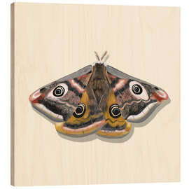 Tableau en bois The Butterfly&#039;s Eyes