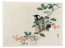 Foam board print Songbird