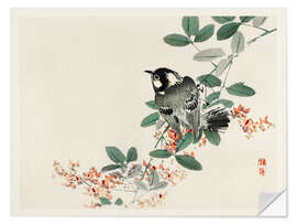 Wall sticker Songbird