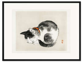 Gerahmter Kunstdruck Katze I