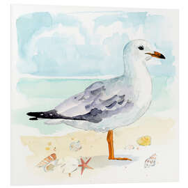 Foam board print Sandy the Seagull