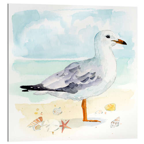 Gallery print Sandy the Seagull