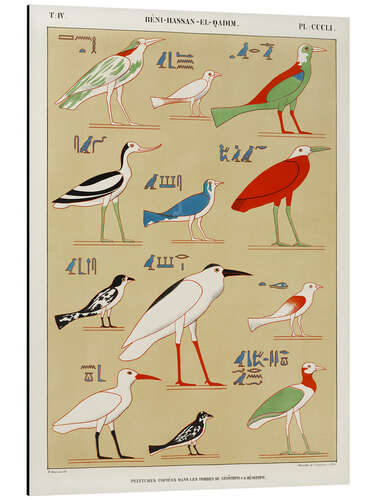 Aluminiumtavla Egyptian Bird Charts I