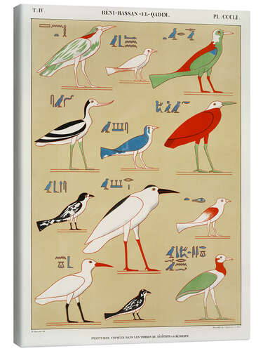 Stampa su tela Egyptian Bird Charts I