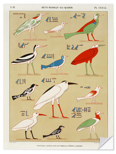 Selvklæbende plakat Egyptian Bird Charts I