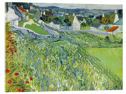 Acrylic print Vineyards at Auvers