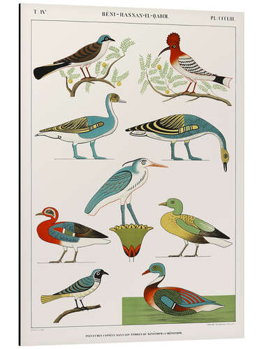 Aluminium print Egyptian Bird Charts II