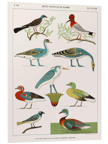 Tableau en PVC Egyptian Bird Charts II