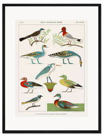 Gerahmter Kunstdruck Verzeichnis der Ägyptischen Vögel II