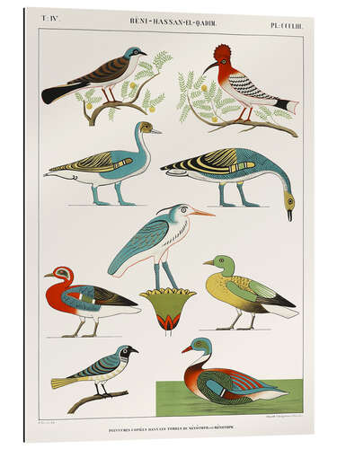 Galleriprint Egyptian Bird Charts II