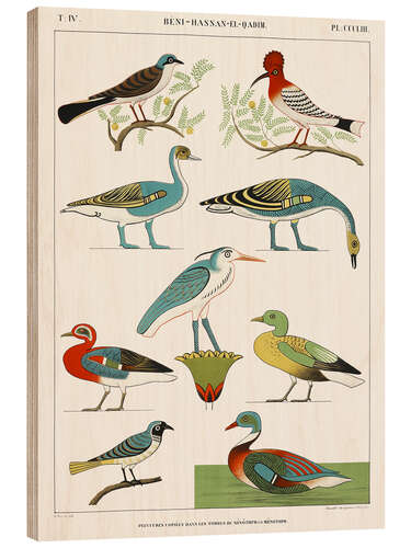 Wood print Egyptian Bird Charts II