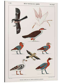 Tableau en aluminium Egyptian Bird Charts III