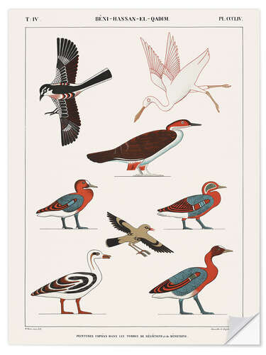 Wall sticker Egyptian Bird Charts III