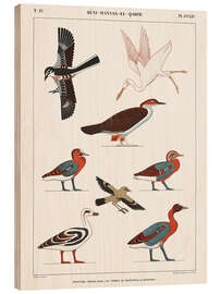 Wood print Egyptian Bird Charts III