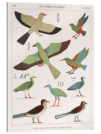 Gallery print Egyptian Bird Charts IV