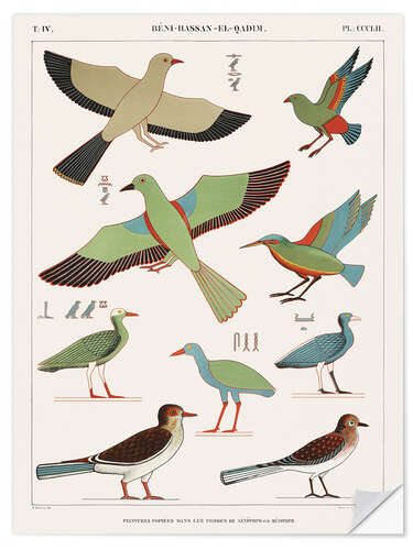 Selvklebende plakat Egyptian Bird Charts IV