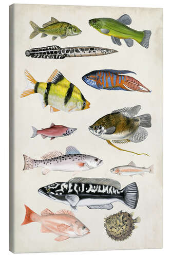 Canvas print Antique Aquarium I