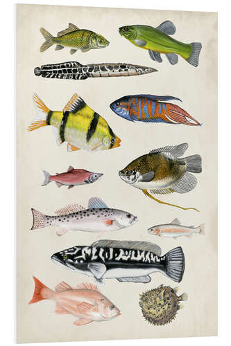 Foam board print Antique Aquarium I