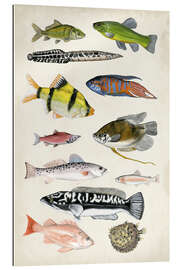 Gallery print Antique Aquarium I