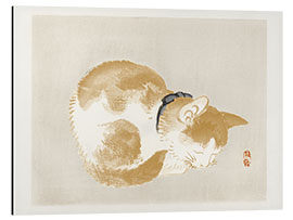 Aluminium print Cat II