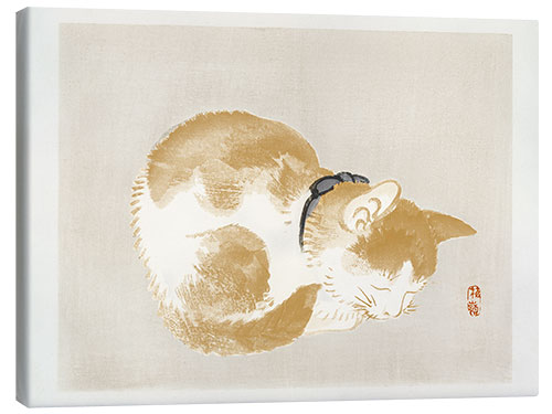 Canvas print Cat II