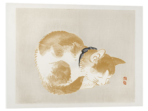 PVC print Cat II