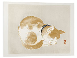 PVC print Cat II