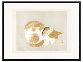 Framed art print Cat II