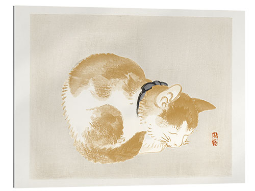 Galleriprint Cat II