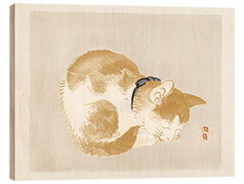 Tableau en bois Cat II