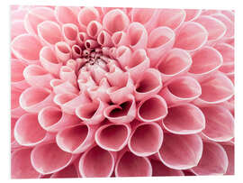 Foam board print Intricate Petals