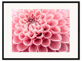 Stampa artistica con cornice Intricate Petals