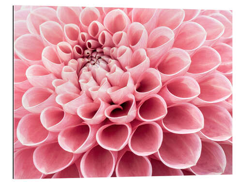 Gallery print Intricate Petals