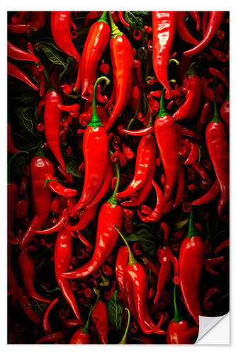 Självhäftande poster Chilis