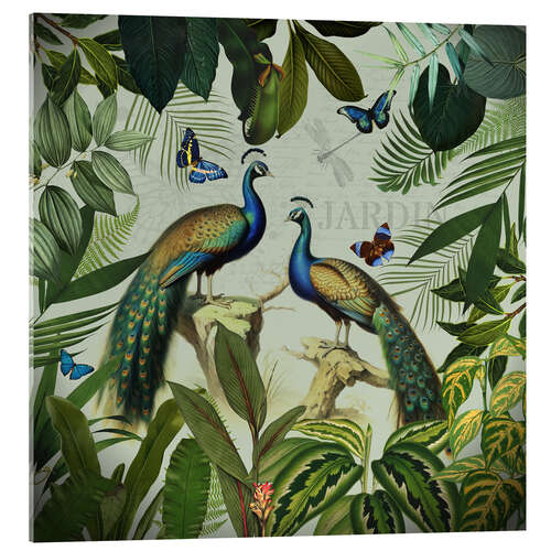 Acrylic print Exotic Peacock in Paradise