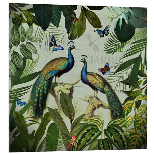 Foam board print Exotic Peacock in Paradise