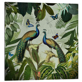 Gallery print Exotic Peacock in Paradise