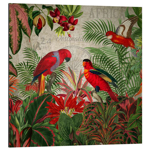 Aluminium print Exotic Parrot in the Tropical Forest