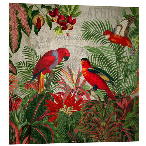 Foam board print Exotic Parrot in the Tropical Forest