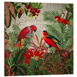 Magnettafel Exotische Papagein im Tropenwald