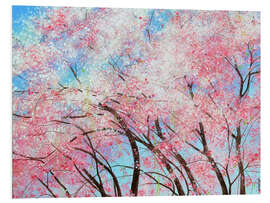 Foam board print Sakura - Blooming Cherry Trees