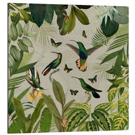 Quadro em alumínio Colibris in Vintage Jungle - UtArt