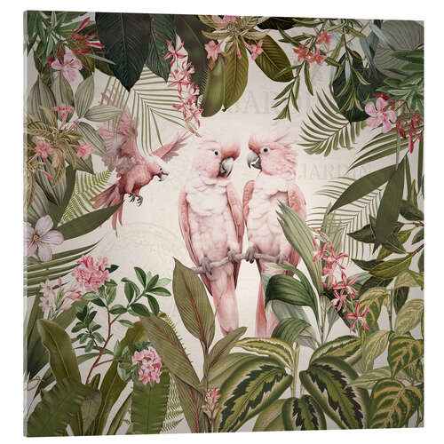 Acrylic print Pink Cockatoos in Vintage Jungle