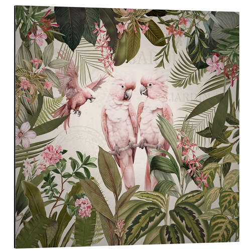 Aluminium print Pink Cockatoos in Vintage Jungle