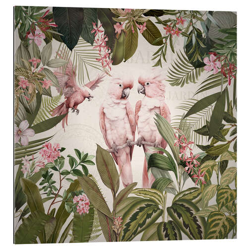 Quadro em plexi-alumínio Pink Cockatoos in Vintage Jungle