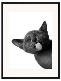 Gerahmter Kunstdruck Lustige schwarze Katze