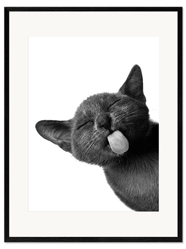 Kunsttryk i ramme Funny Black Cat