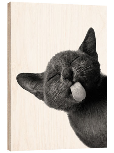 Wood print Funny Black Cat